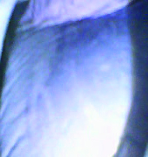 第一个挤压玩具样本