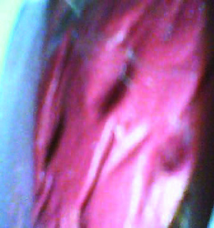 第三个挤压玩具样本