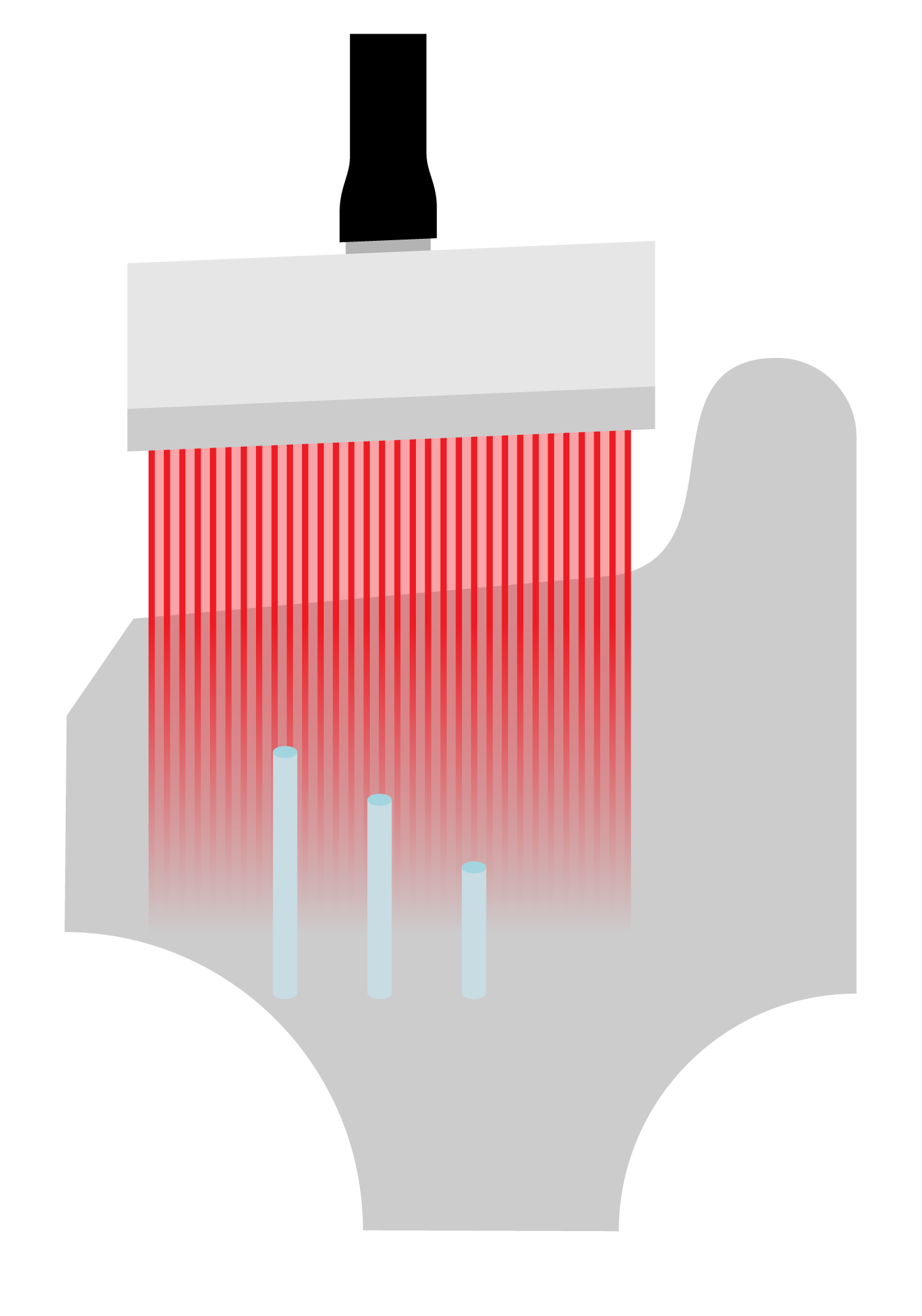 一次线性扫查。