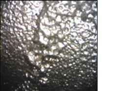 IPLEX TX上的监测图像