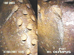 Easy comparison of images Easy comparison of images