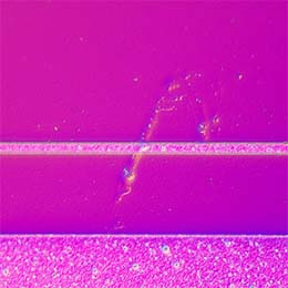 使用DIC方式观察晶圆缺陷