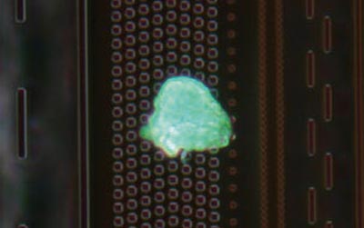 轻松检测到抗蚀剂残留物