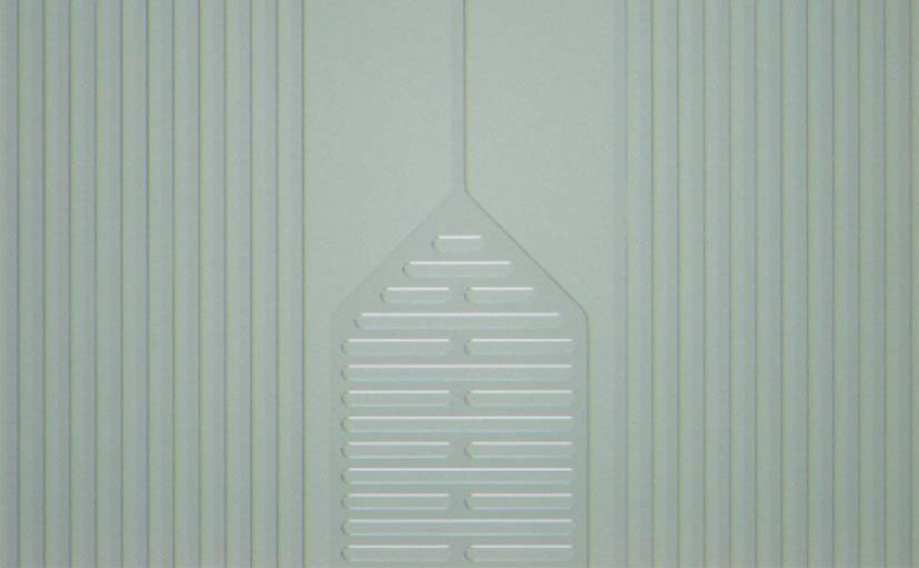 案例研究4:微流路 - 用途和挑战