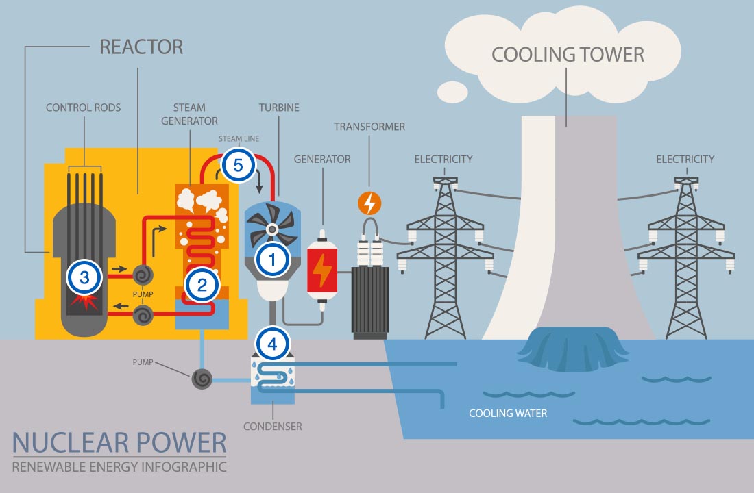 需要内窥检测的区域
