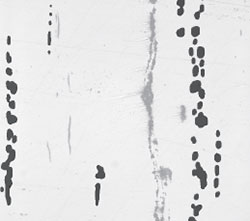 non-metallic inclusion of iron and steel