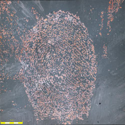 2A 已用羊毛织物擦拭的紫铜上指纹