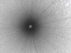 Inside of a metal hose