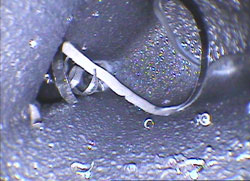 Images of cracks and chips inside the cast component photographed using an Evident videoscope