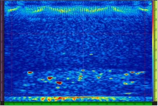 平面波成像/全聚焦方式最大扫查速度：49 mm/s