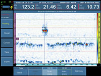 OmniScan焊缝数据