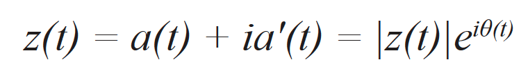一帧完整TFM图像中的经验A扫描,一个复杂的分析信号z(t)。