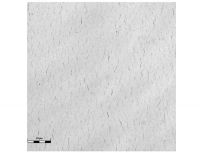 copper with chromium adhesion layer under load after 220 cycles