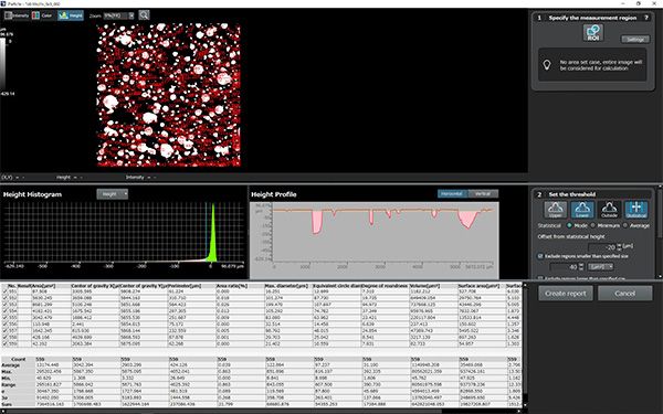 颗粒分析(孔隙的面积比、最大直径、最大卡尺直径和等效圆直径)。
