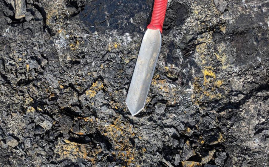 用于收集褐煤样品的小铲子;然后使用Vanta XRF枪式分析仪对收集的样品进行X射线光谱分析,以确定硫的含量。