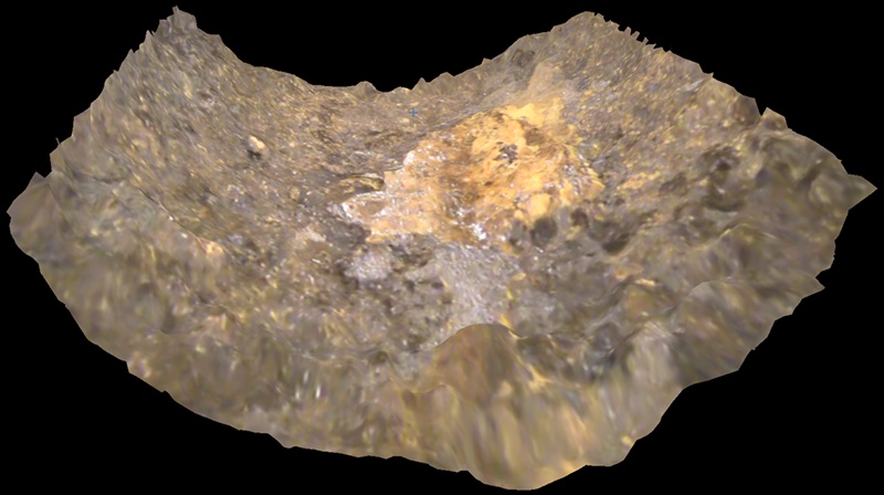 Compelling 3D Images Strengthen Reports