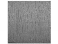 in situ testing observing peak load cracks 114 cycles