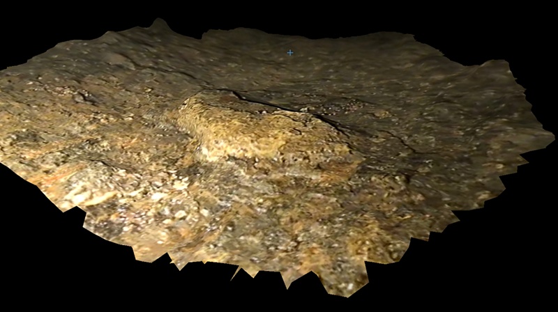 Compelling 3D Images Strengthen Reports