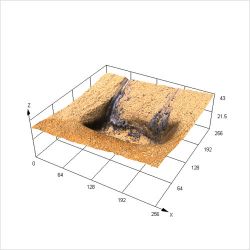 柔性电路板的连接器区域