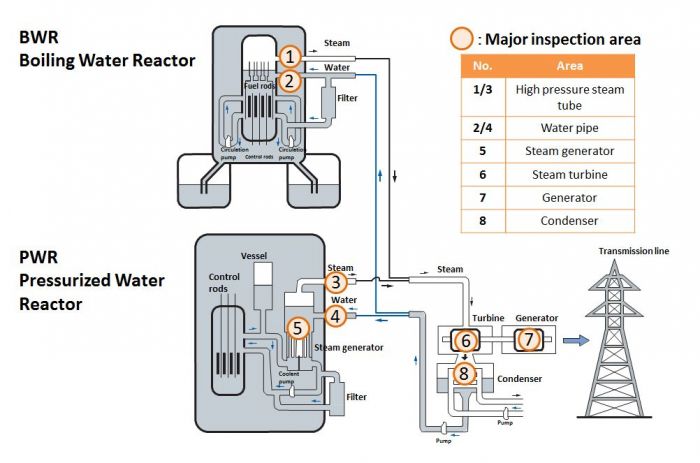 Inspection target and purpose