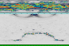 用于探测缺陷的相位相干成像