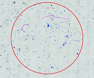 Particle Distribution